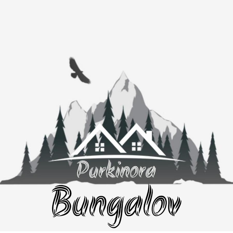Purkinora Bungalov Çamlıhemşin Zewnętrze zdjęcie