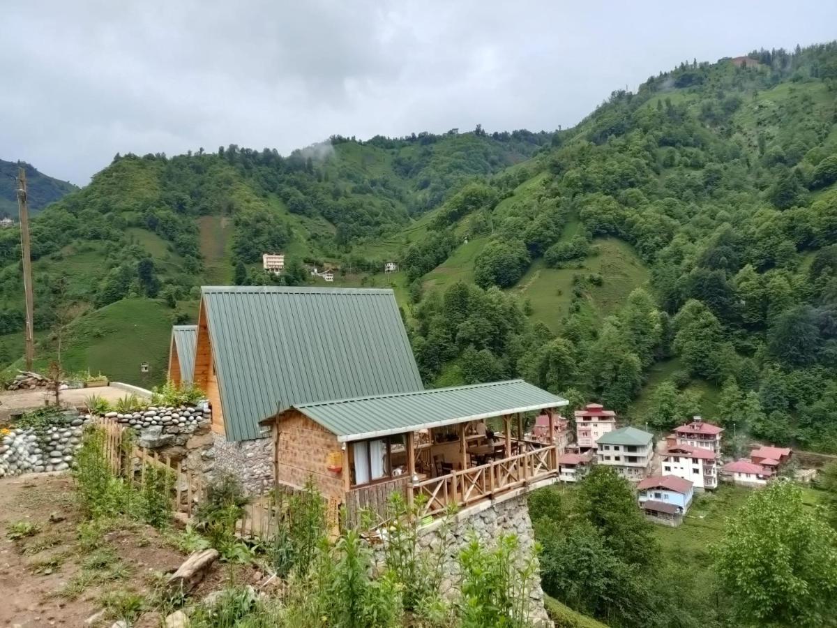 Purkinora Bungalov Çamlıhemşin Zewnętrze zdjęcie