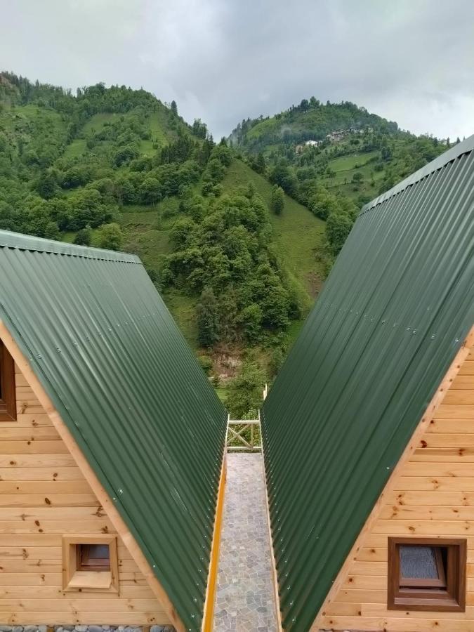 Purkinora Bungalov Çamlıhemşin Zewnętrze zdjęcie