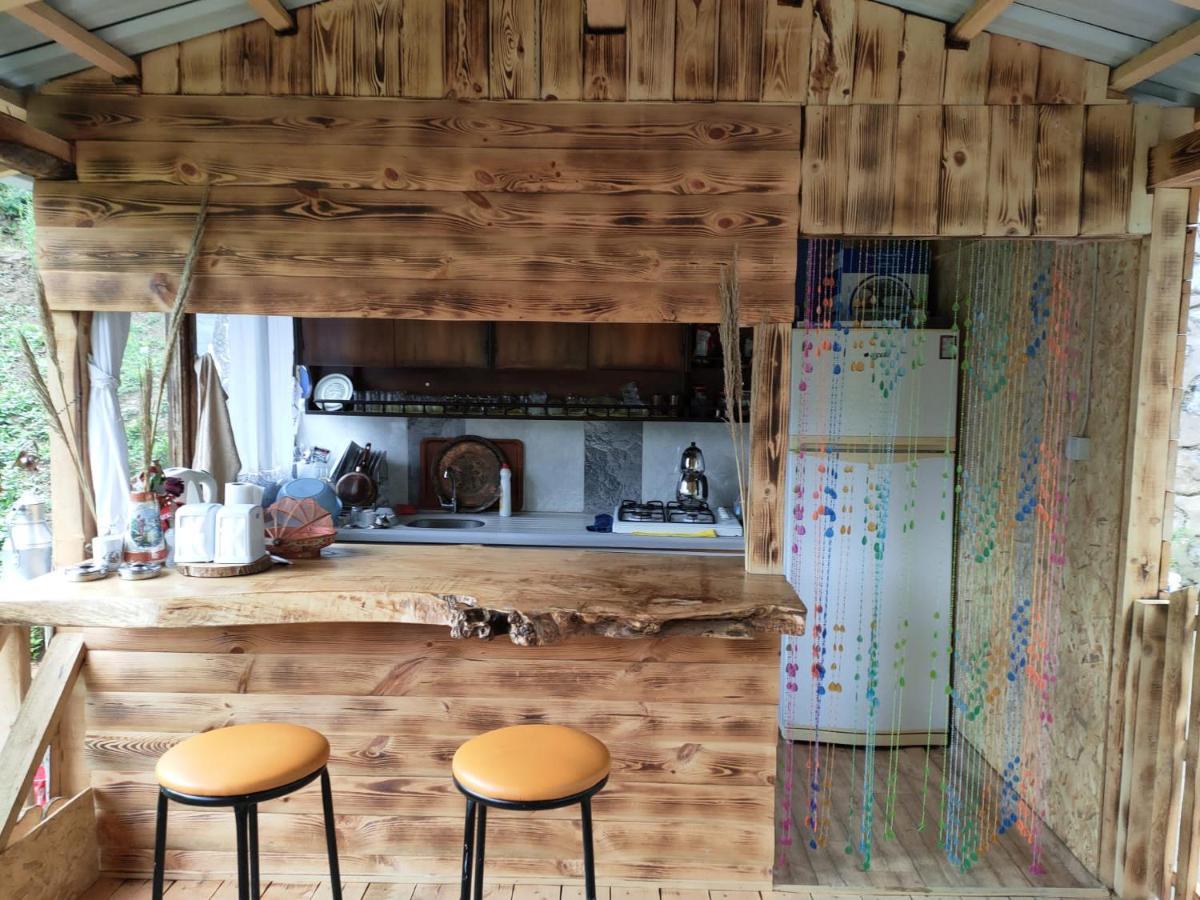 Purkinora Bungalov Çamlıhemşin Zewnętrze zdjęcie