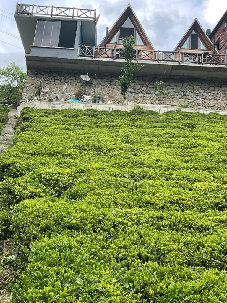 Purkinora Bungalov Çamlıhemşin Zewnętrze zdjęcie