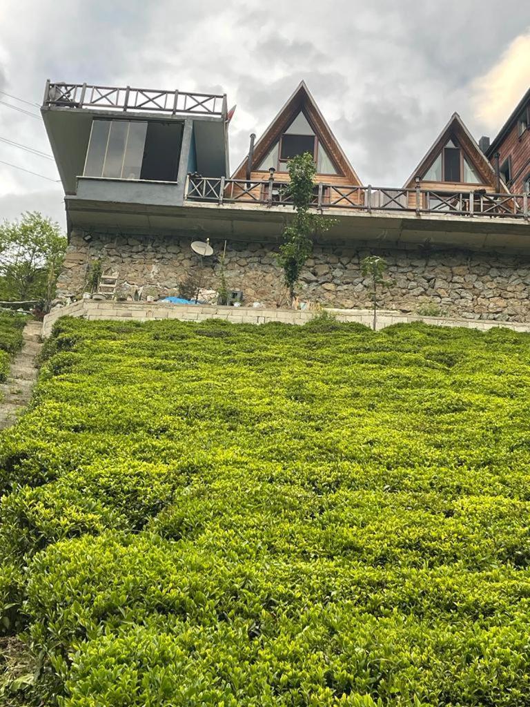 Purkinora Bungalov Çamlıhemşin Zewnętrze zdjęcie